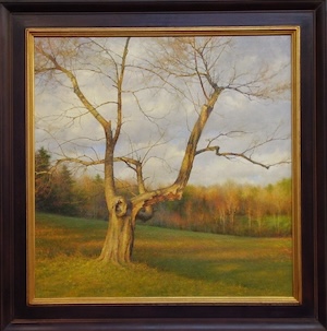 Medium Image