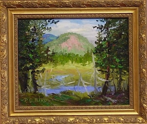 Medium Image