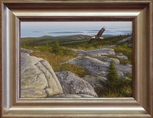 Medium Image