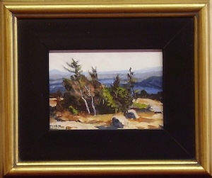 Medium Image