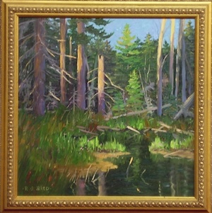 Medium Image